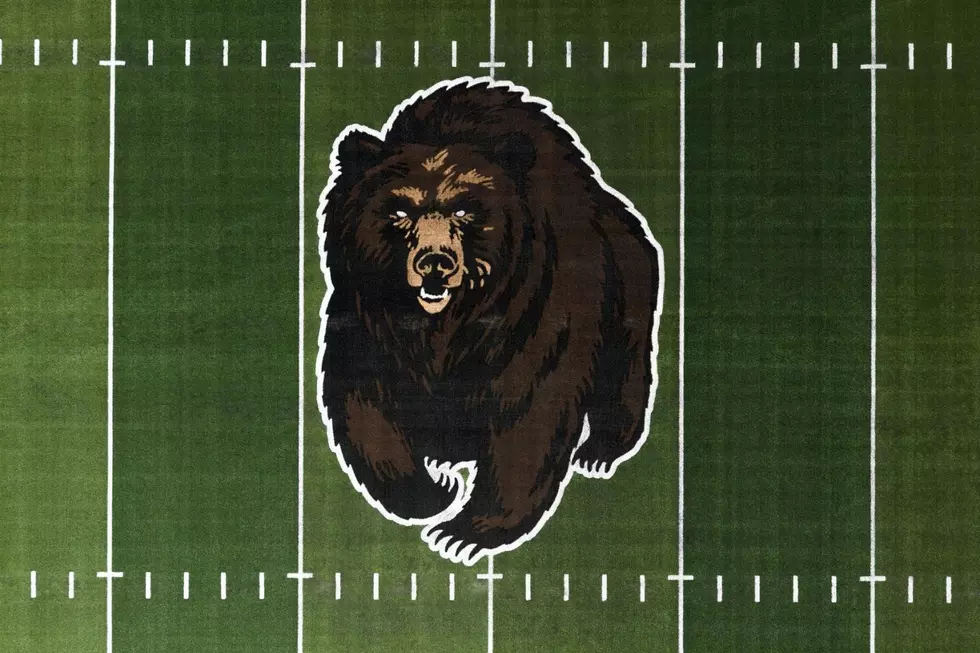 Charing Bear