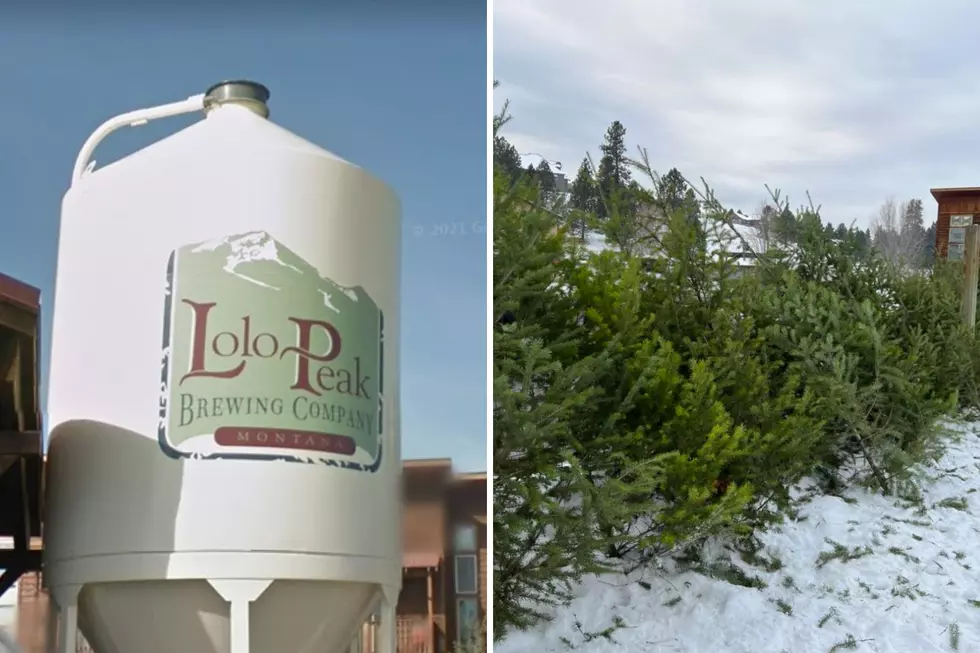Montana Brewery Giving Back With Free Christmas Trees