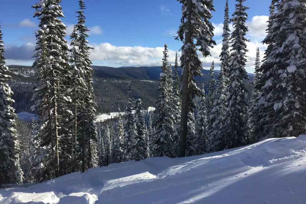 Do Missoulians Believe The Motto ‘No Friends On Powder Days’?