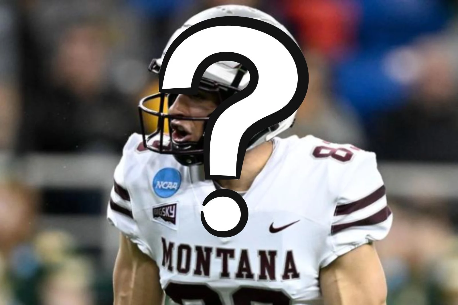 A breakdown of the defense for the 2023 Montana Grizzlies