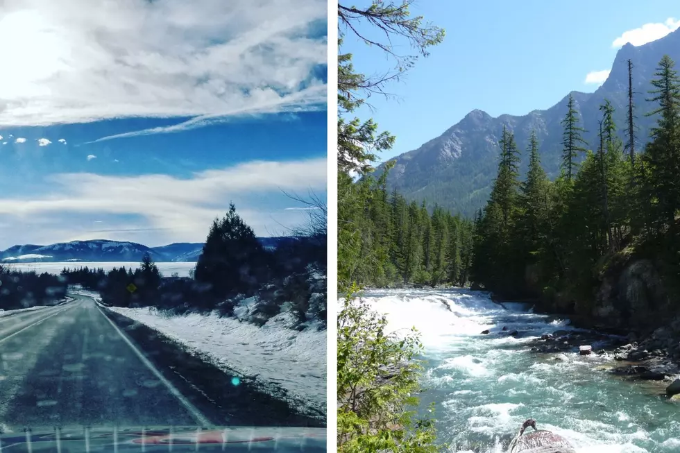 Brutal Video Explains Why Tourists Shouldn’t Come to Montana