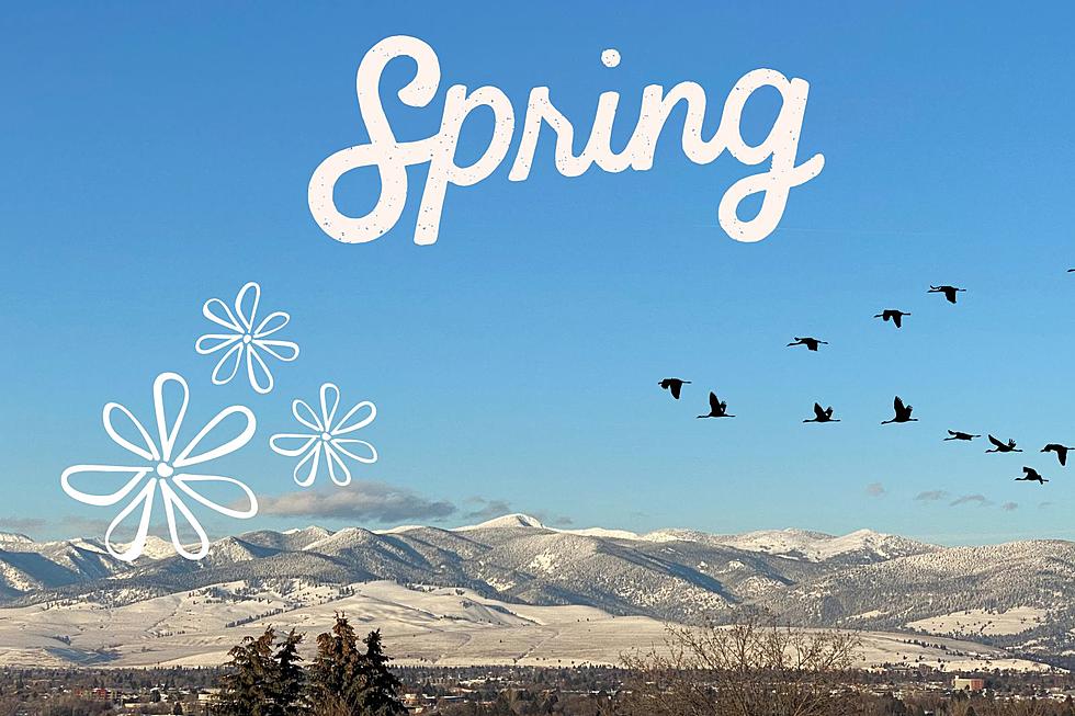 Sure Signs That Spring Is Almost Here In Missoula