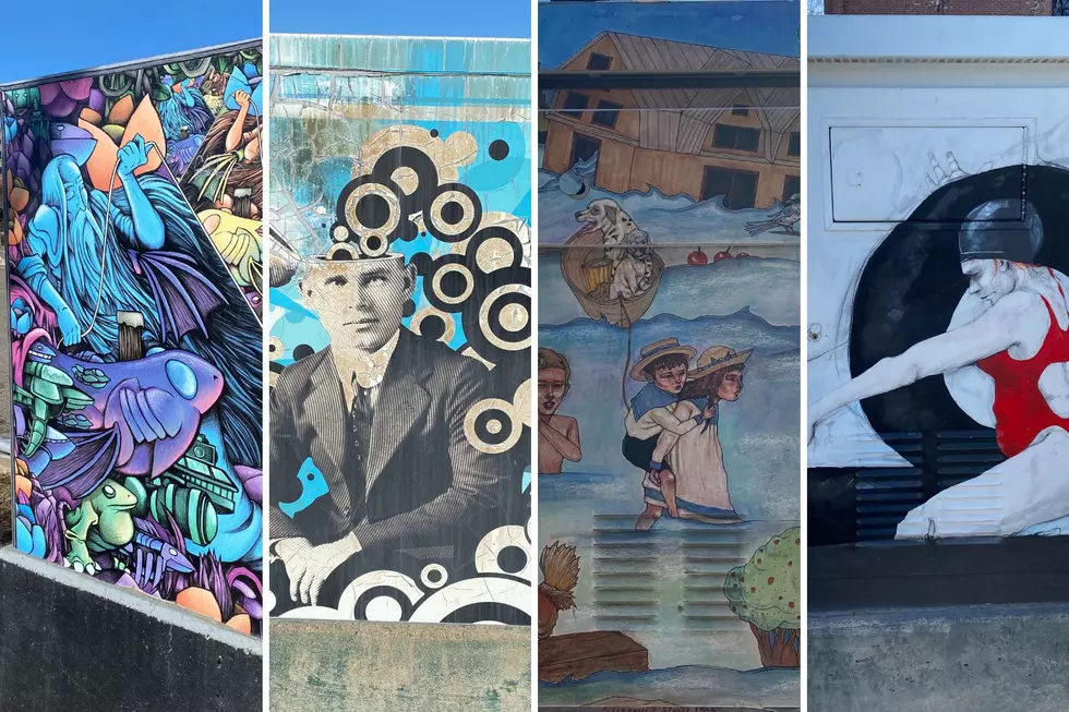 Have You Seen Missoula’s Utility Boxes? Here are 21 of Them