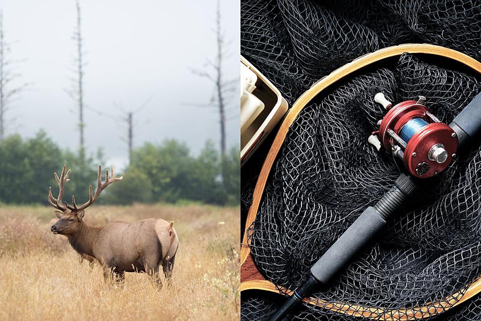 Announcing: Hunters & Anglers Rendezvous Is Coming To Missoula