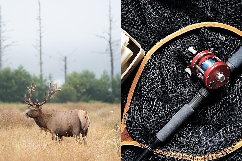 Announcing: Hunters &#038; Anglers Rendezvous Is Coming To Missoula