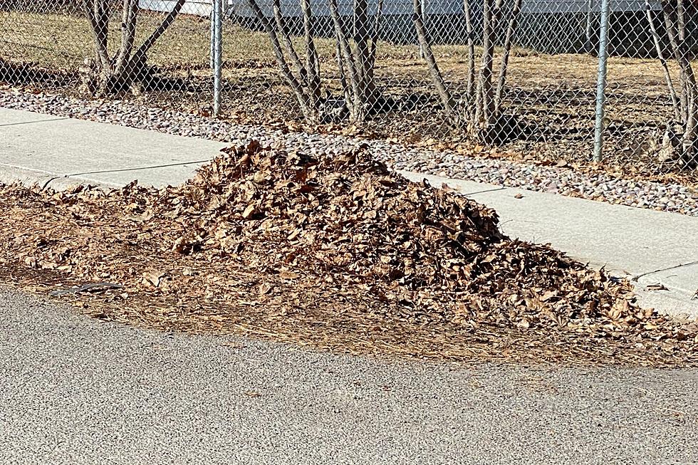 Attention: Missoula Will Have A Spring Leaf Removal Starting Soon