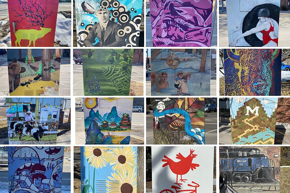 Make Missoula Beautiful: Apply to Create Traffic Signal Box Art