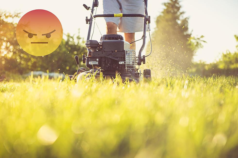 Montana What Time of Day is the Best Time To Mow?