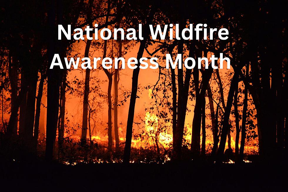 Helpful Tips for Montanans to Keep in Mind During Wildfire Month