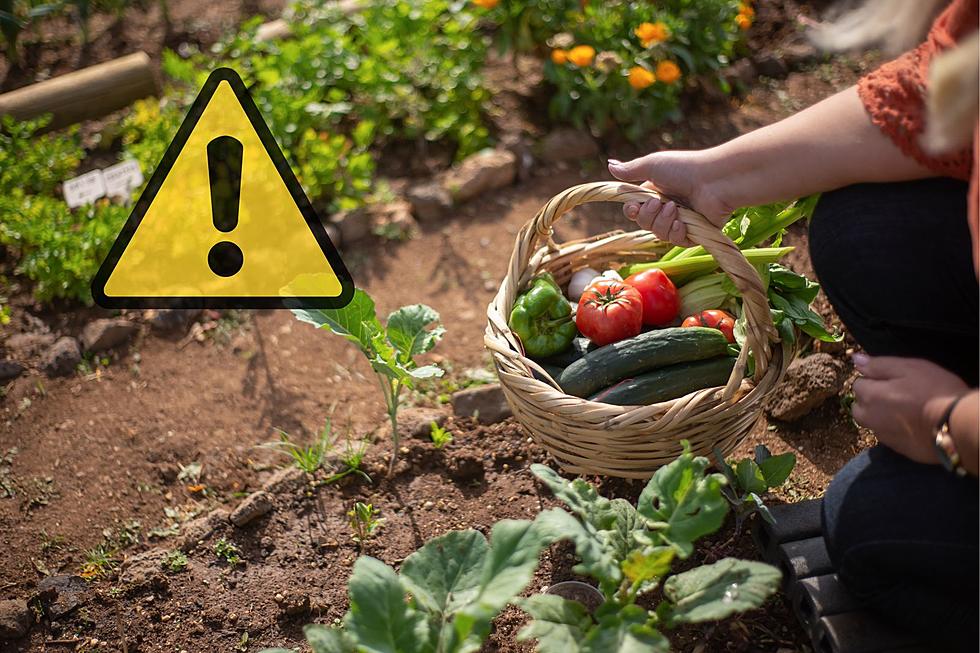 The Dangers of Gardening in Montana May Surprise You