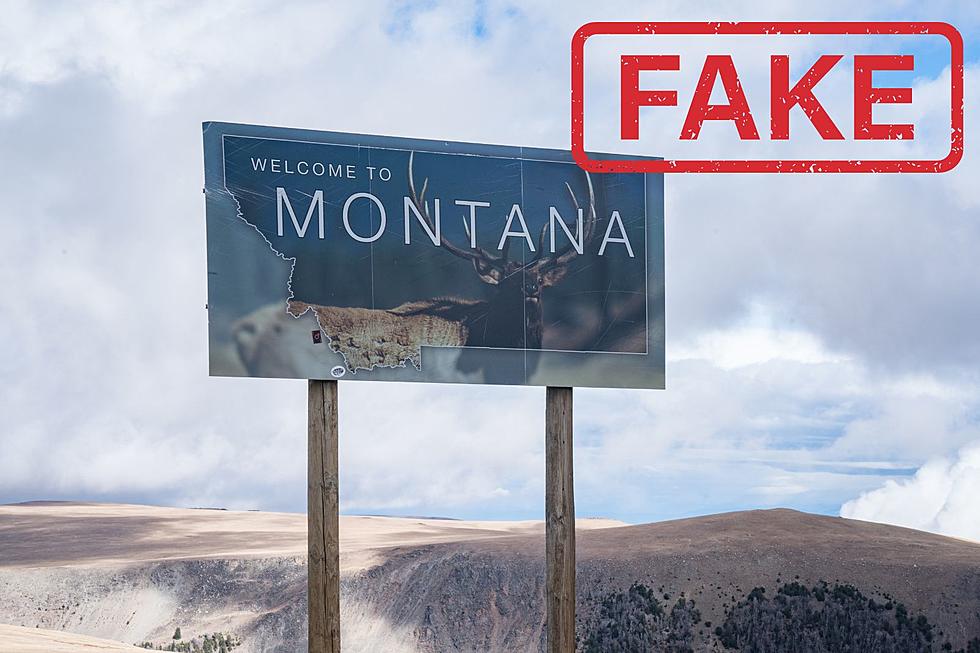 Montanans Perspective On Fakes Shouldn&#8217;t Be Surprising