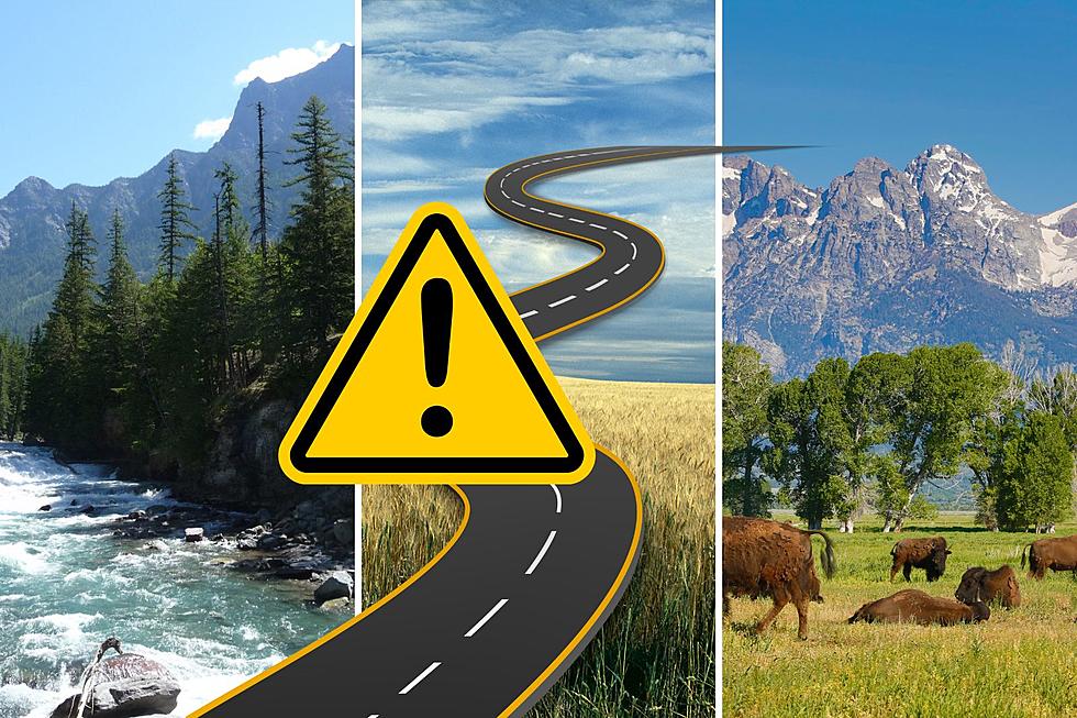 If You Drive in Montana, Wyoming or North Dakota, Pay Attention to This Study