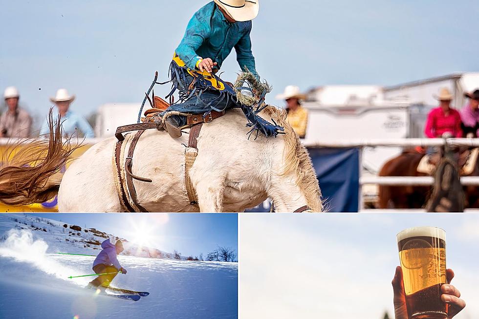 Yee Haw! Looks Like Montanans Want an Official Sport