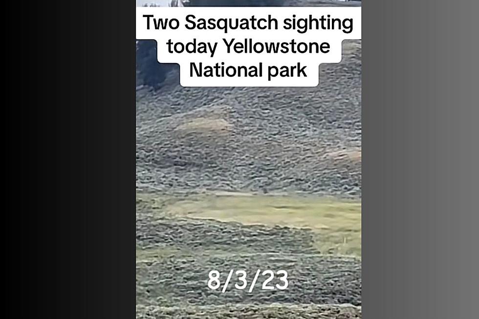 New Video Claims To Capture 2 Sasquatches in Yellowstone