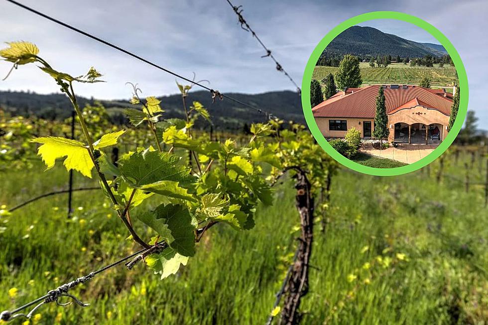 This Rare Montana Vineyard Now Can Be Yours