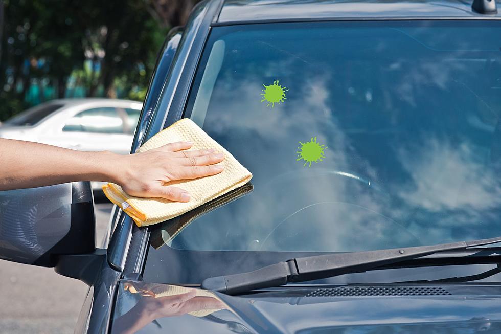 There&#8217;s a Reason Why Montana Windshields Might Be Unusually Clean