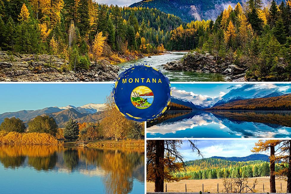 Montana Fall Foliage Peak 2024