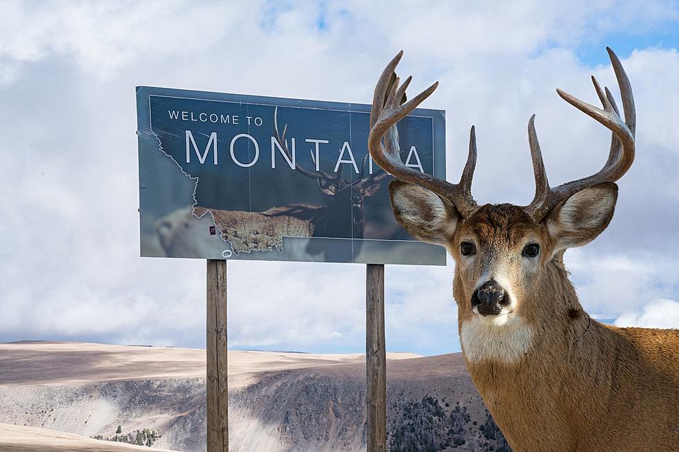 Hopping on the Social Media Trend: Here&#8217;s Montana Math
