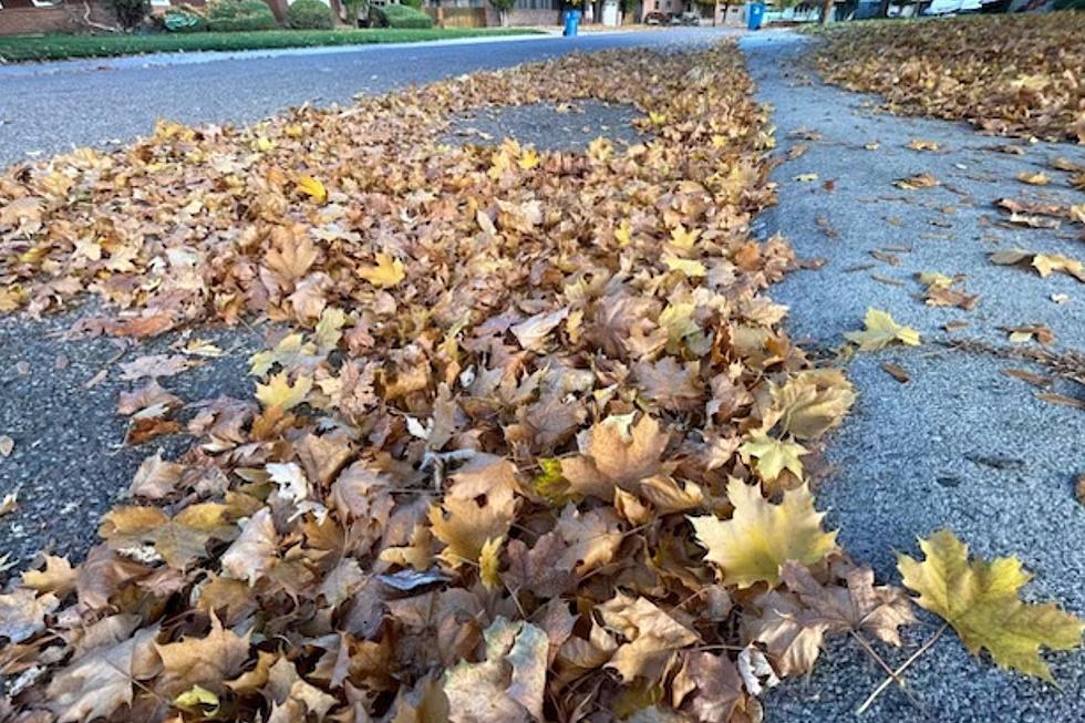 What You Need to Know for Fall Leaf Pickup in Missoula 2023