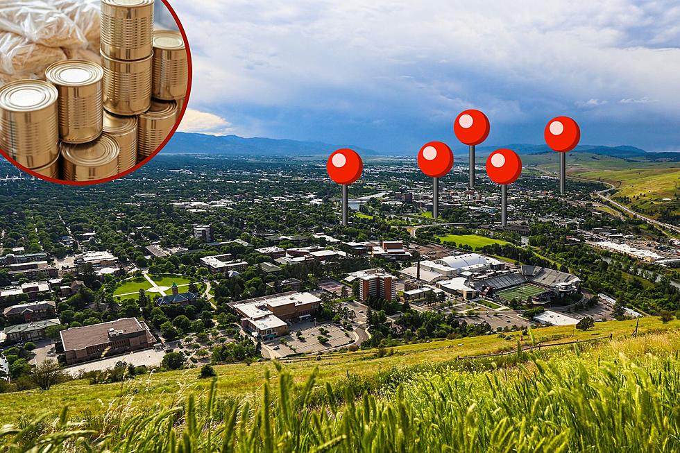 5 Easy Drop Off Spots for Missoula's Can the Cats 2023