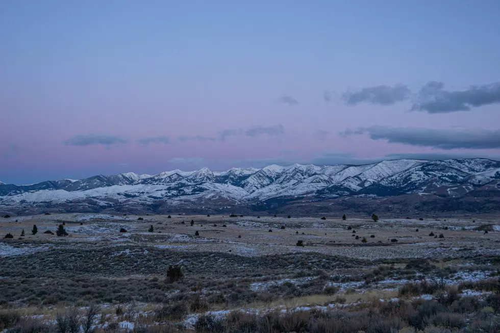 Photo by Brynn Pedrick on Unsplash