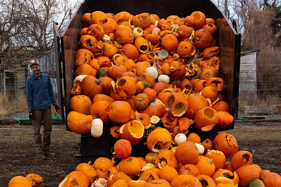 Donate a Pumpkin to Soil Cycle Missoula and Feed Local Animals