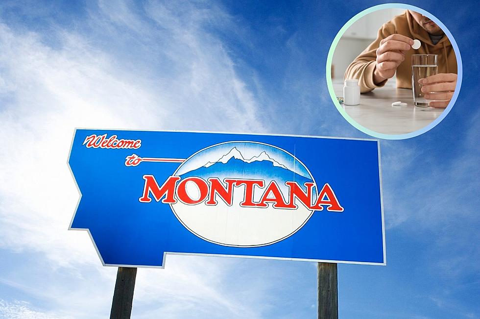 Hair of the Dog: Here’s Montana’s ‘Hangover Index’