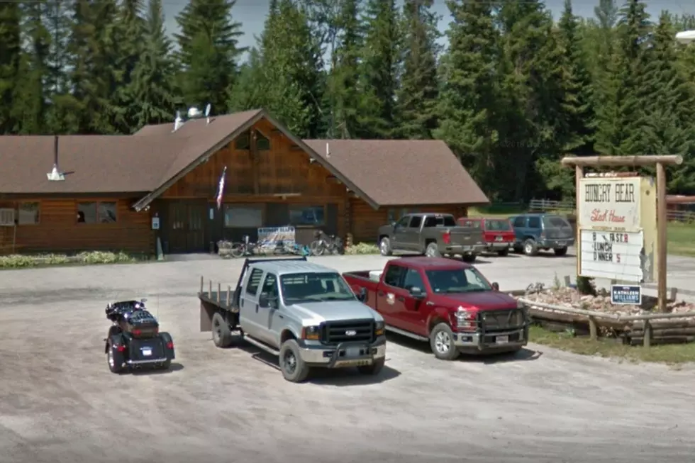 Hungry Bear Condon Montana