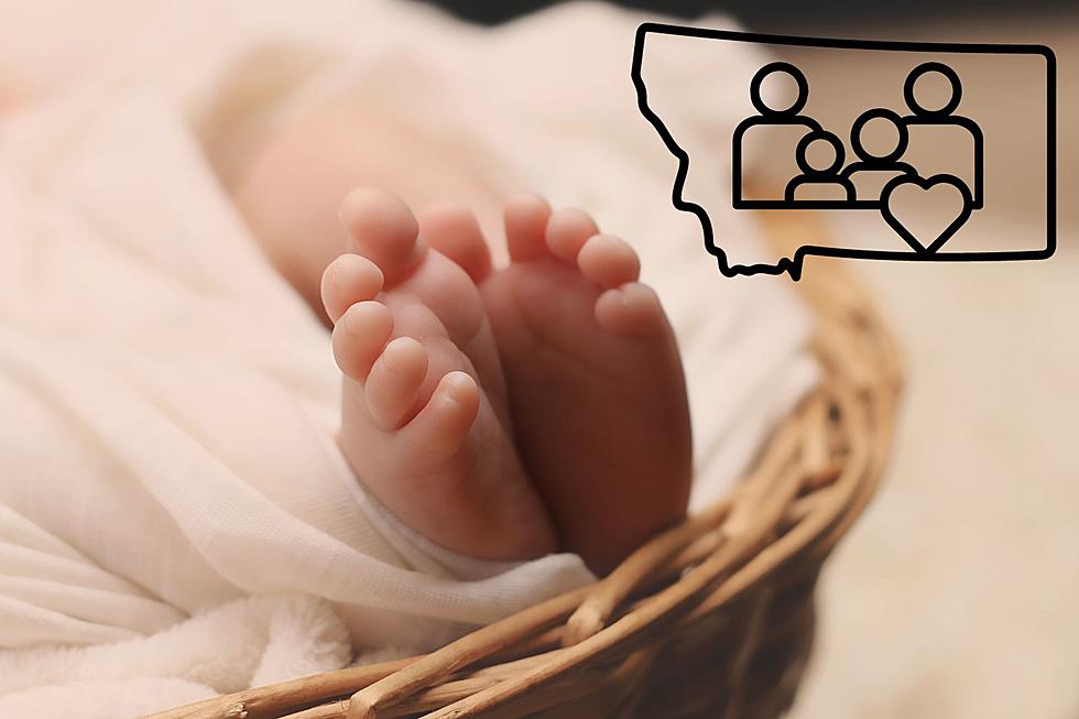 What Potential Parents Should Know About Surrogacy in Montana