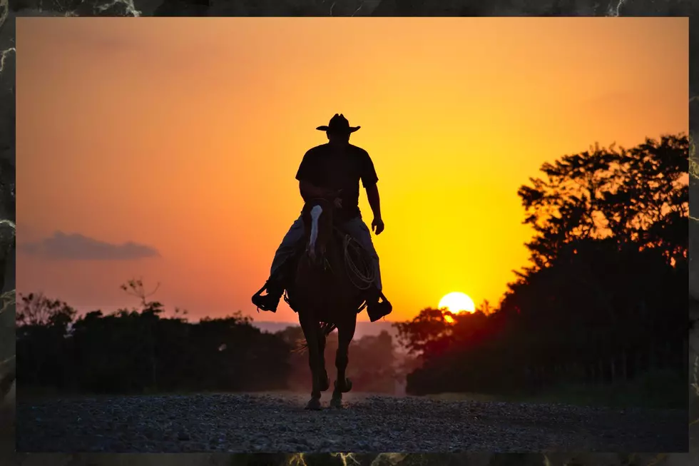 Cowboy Riding a Horse
