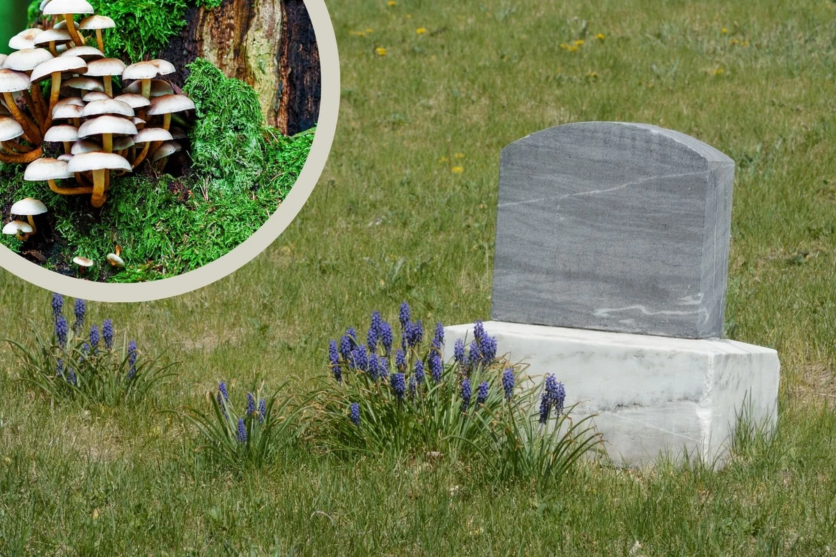 Montanans Interested In These Top Eco Friendly Burial Methods montanans-interested-in-these-top-eco-friendly-burial-methods