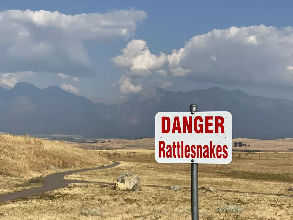 Montana's Most Snake Infested River