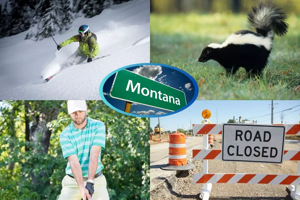 7 Sure Signs It&#8217;s Spring in Montana