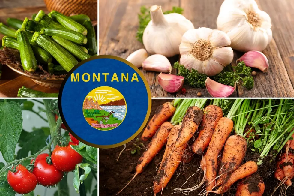 9 Vegetables That Will Grow Well in Montana