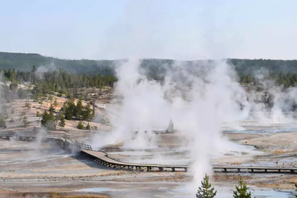 Even If You Know, This Fact About Yellowstone Is Surprising