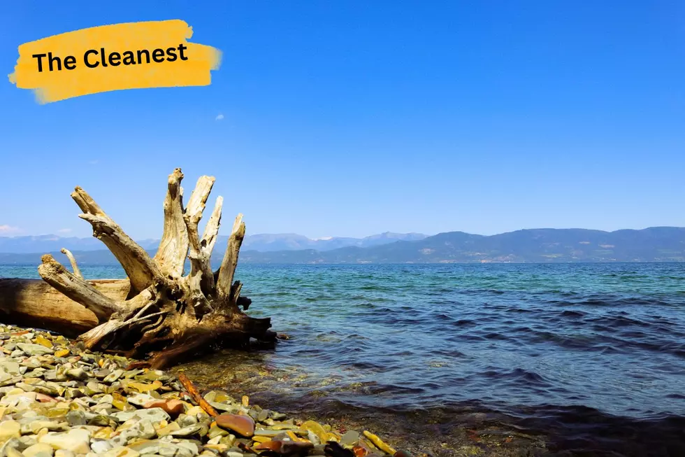 Flathead Lake shoreline in Montana