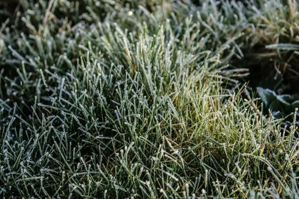 First Frost Dates for Montana