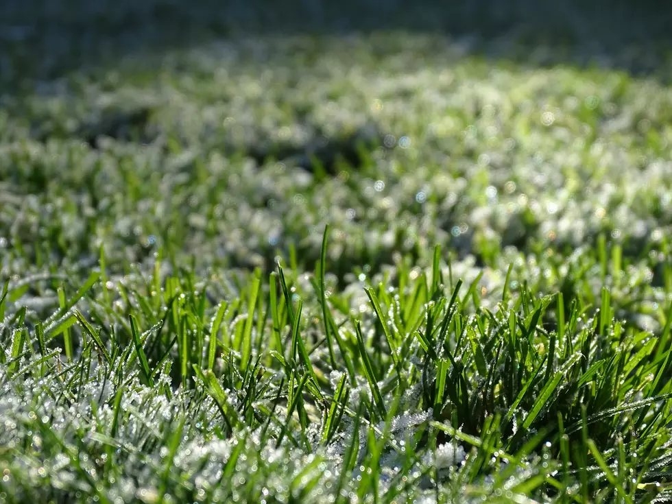 Montana's First Frost Forecast