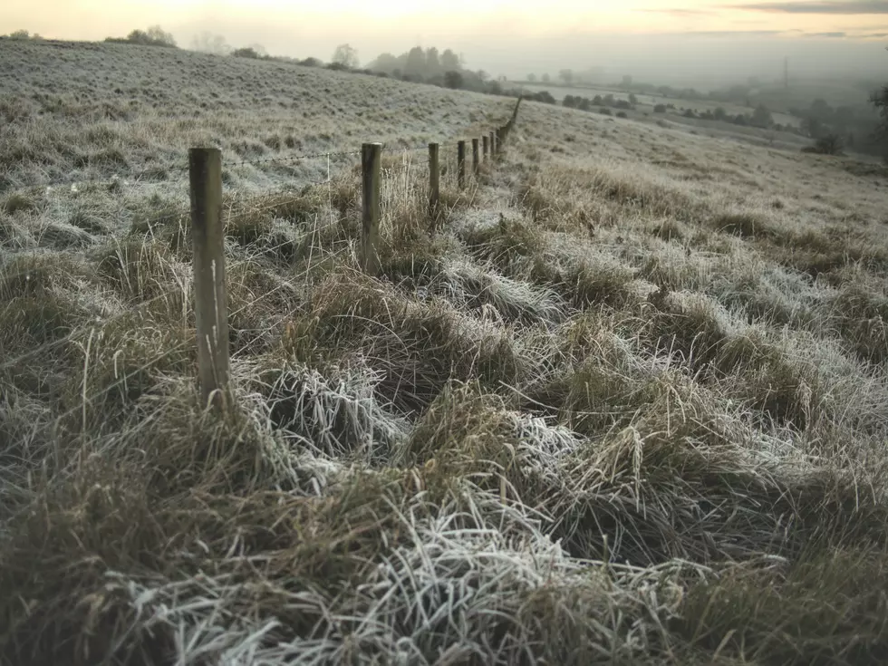 First Frost Forecast Montana