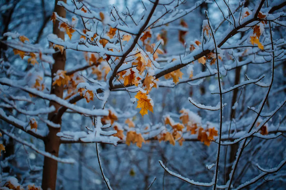 First Frost Forecast for Montana