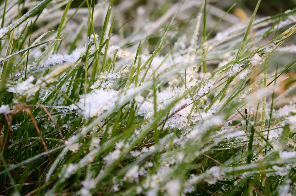Montana First Frost Forecast