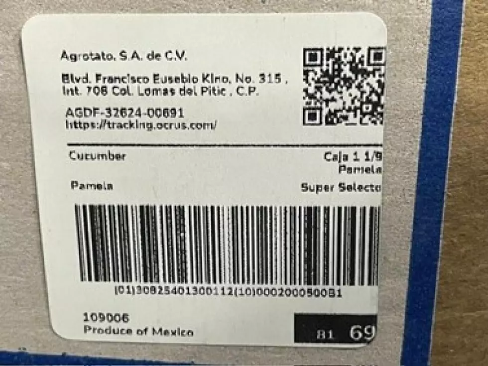 Cucumber Recall 5