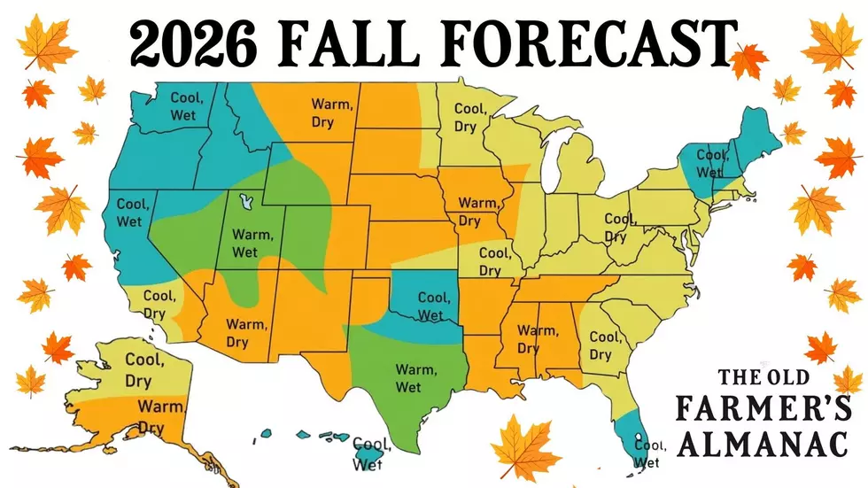 2026 Fall Forecast
