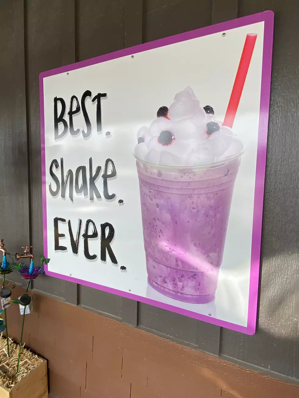 Best Shake Ever