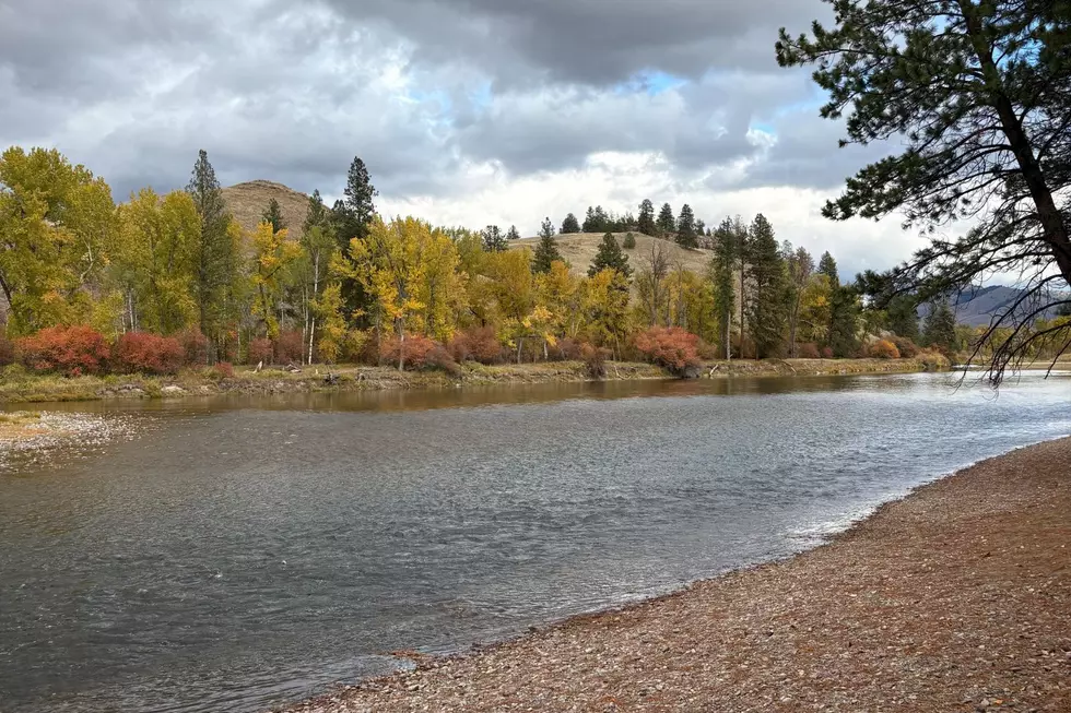 Old Farmer’s Almanac Reveals When Montana’s Fall Colors Peak