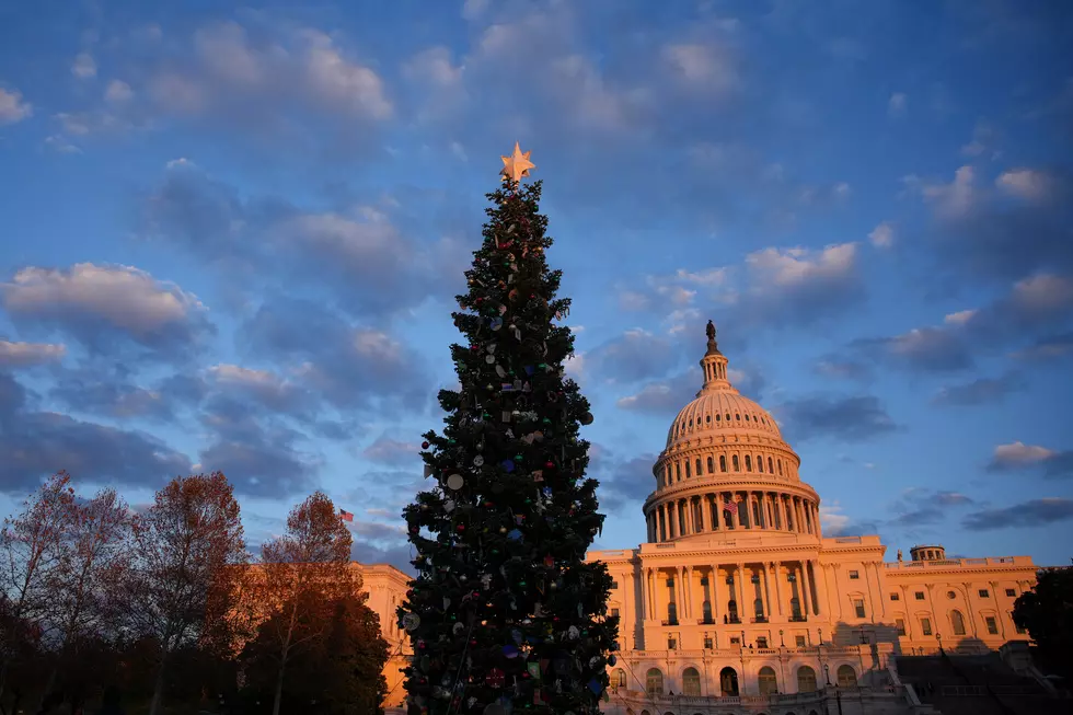 Montana Will Have a Special Connection to the 2026 Capitol Christmas Tree