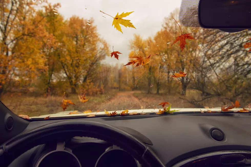 Old Farmer’s Almanac Reveals Montana’s Thanksgiving Forecast