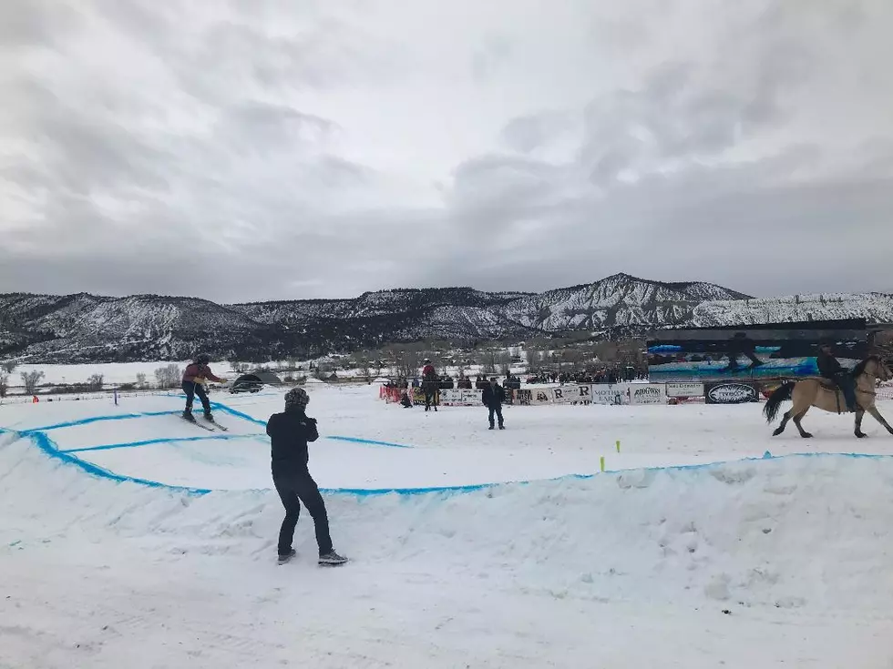 Check Out Skijoring Fun in Ridgway Colorado