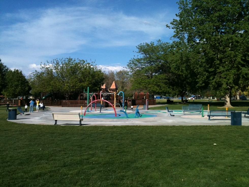 Best Playgrounds in Tri Cities – Big Bear’s Top 5
