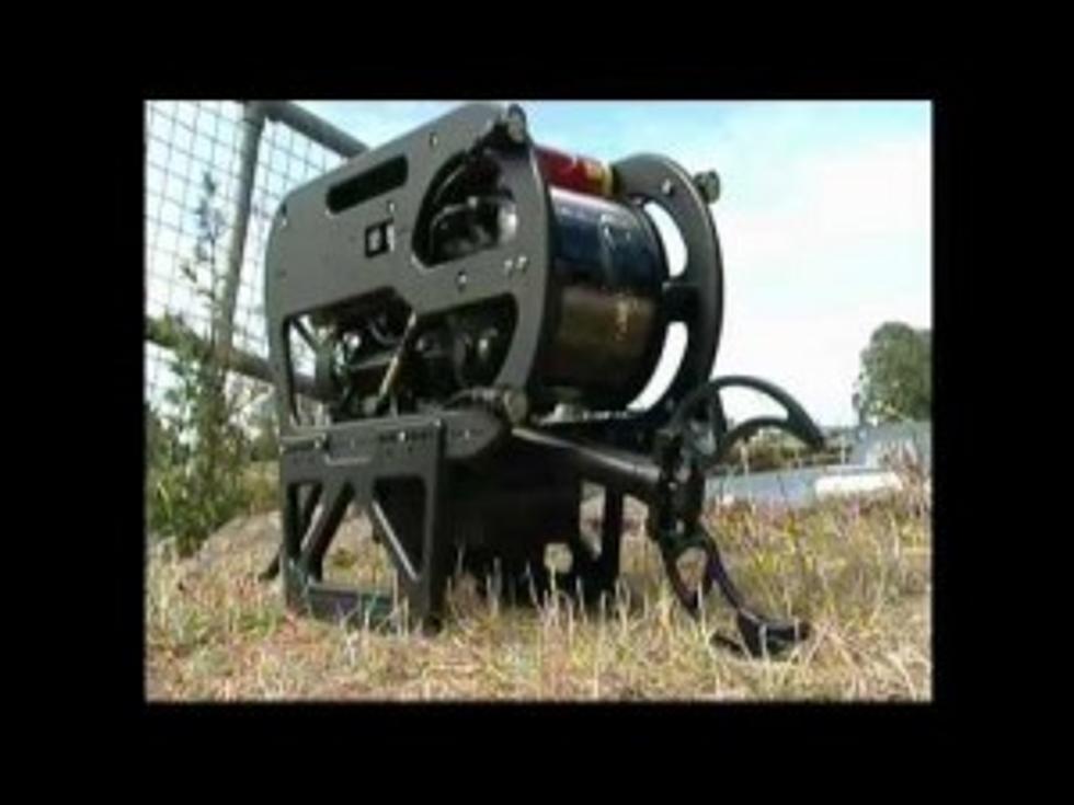 Underwater Search And Rescue Robot Needed [VIDEO]